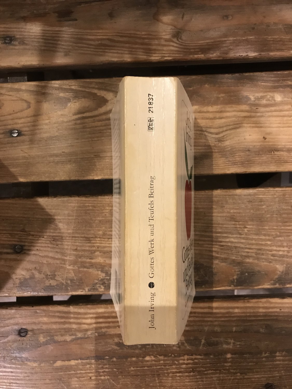 Gottes Werk und Teufels Beitrag“ (John Irving) – Buch
